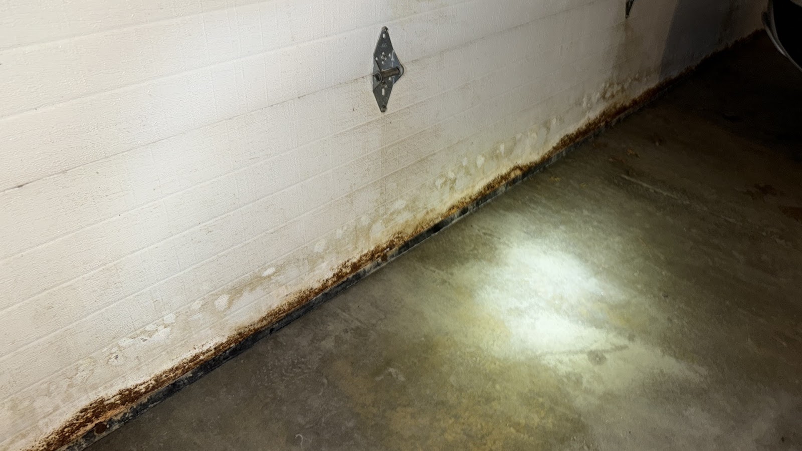 Copy of IMG_2026-03-13_15-04-42_651.jpg