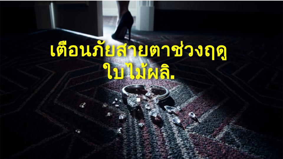 เตือนภัยสายตาช่วงฤดูใบไม้ผลิ! 4 โรคตาอันตราย ตั้งแต่ภูมิแพ้จนถึงต้อหิน