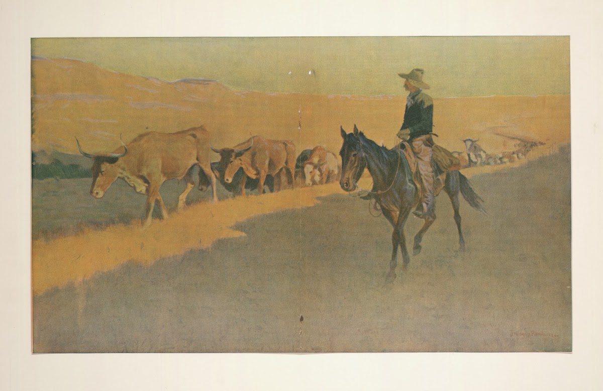 Trailing Texas Cattle 1904