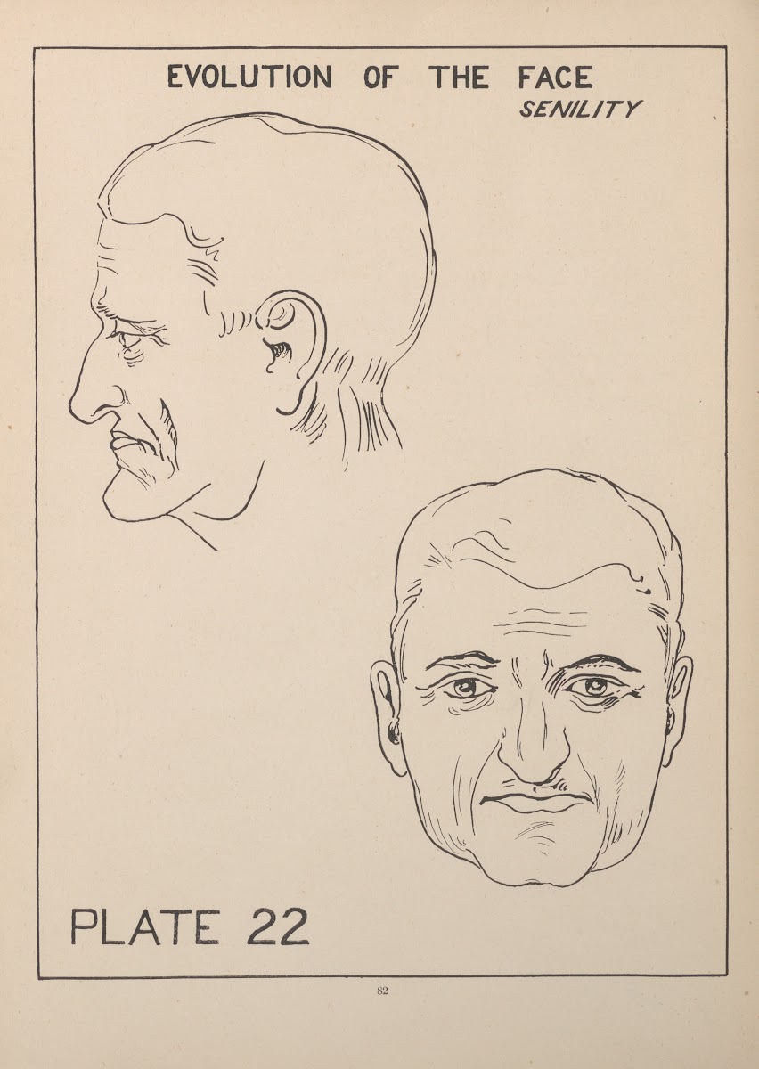 Evolution Of The FaceSenility 1924