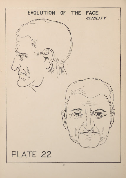 Evolution Of The FaceSenility 1924