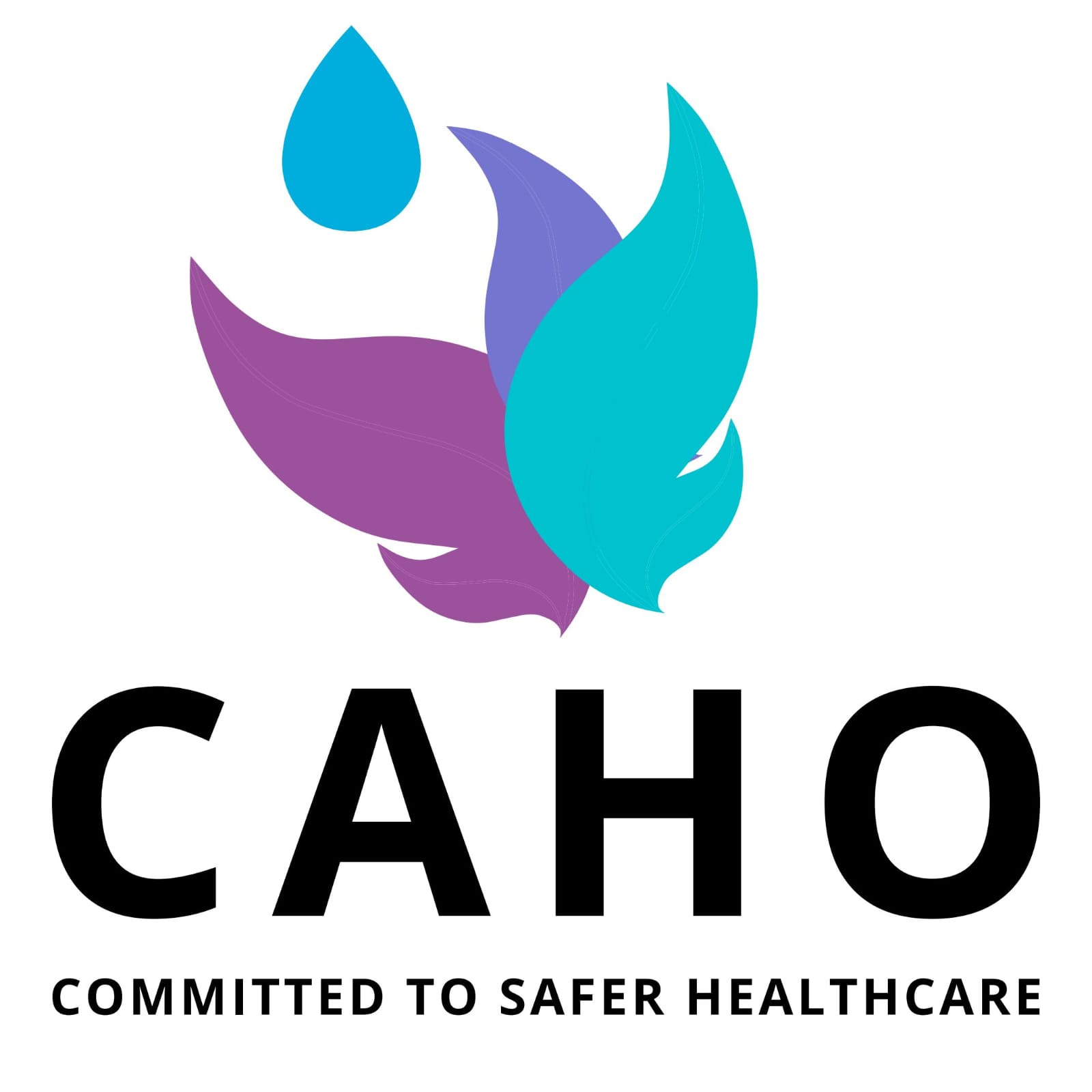 CAHO Logo