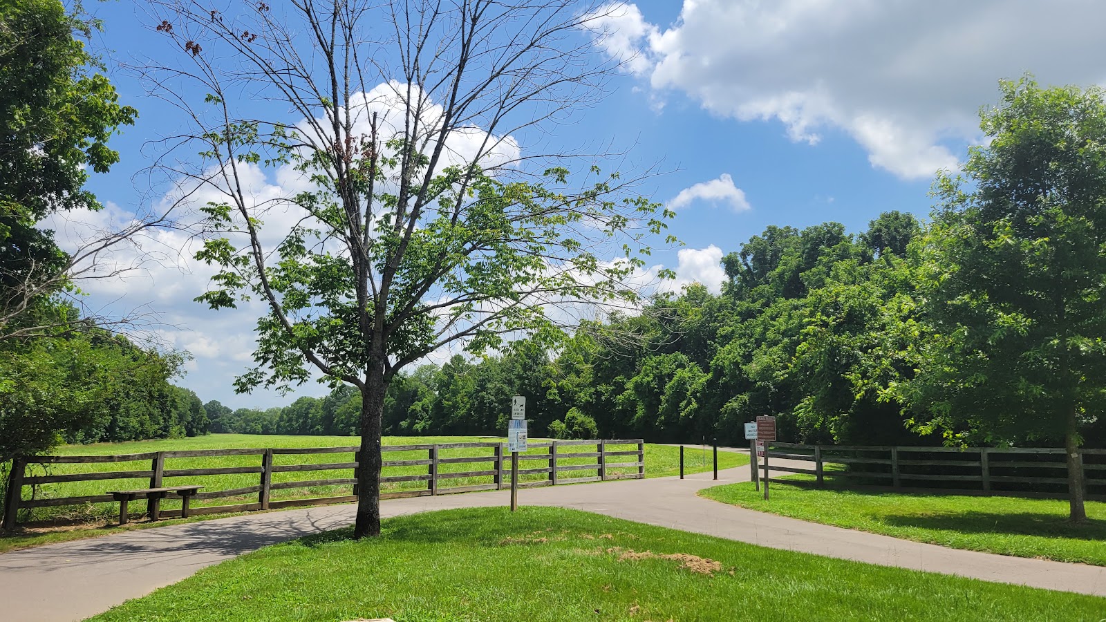 Green space and mature trees at Peeler Park in Madison, Tennessee.