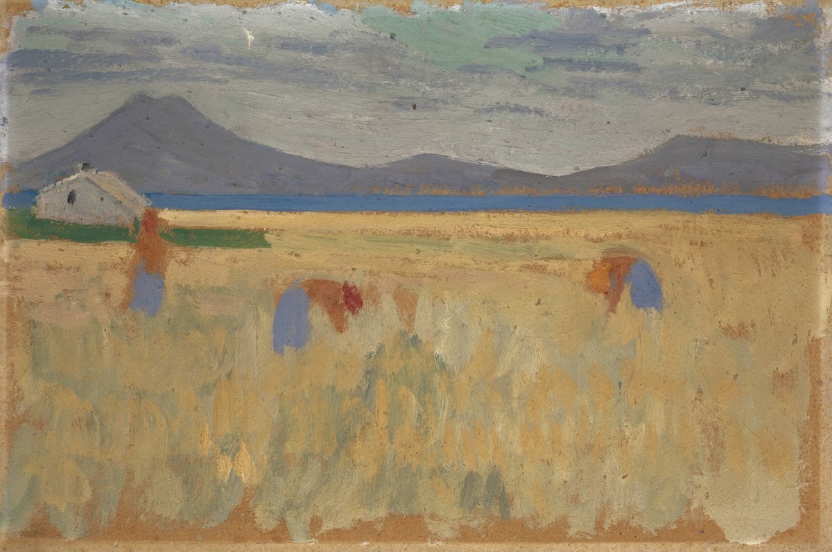 Harvest on the Balearic Islands