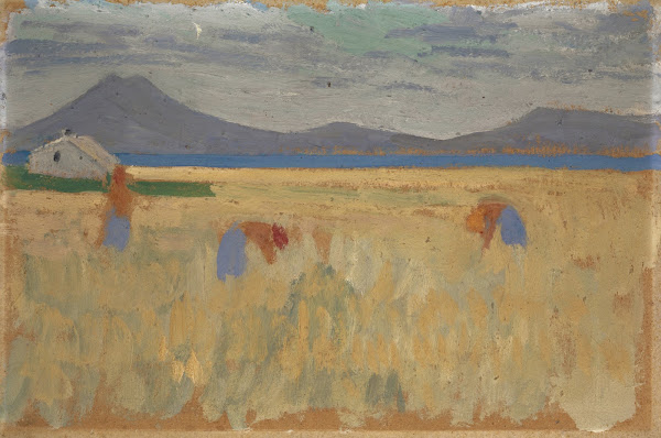 Harvest on the Balearic Islands