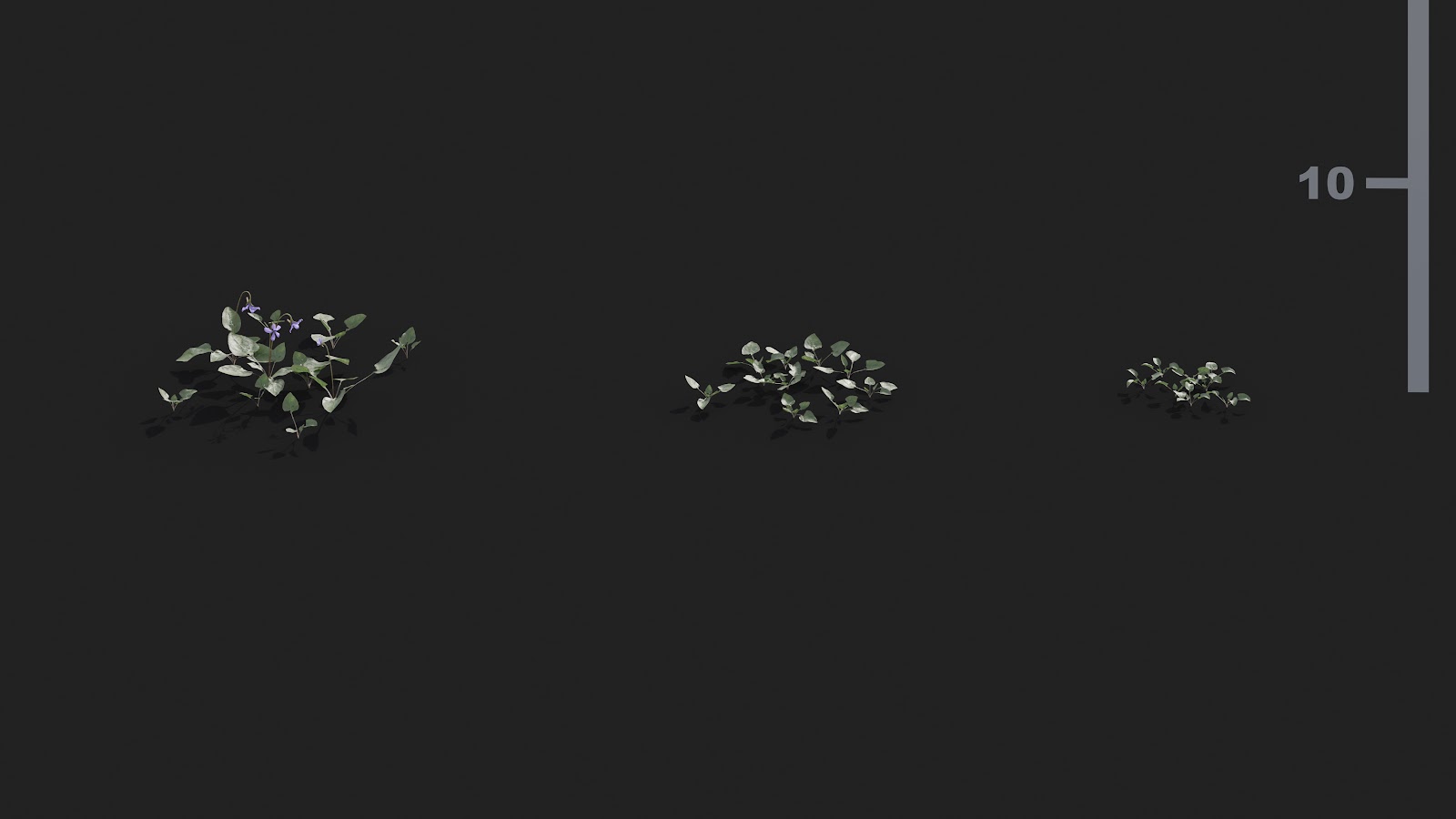 Maxtree - Plant Models Vol.21
