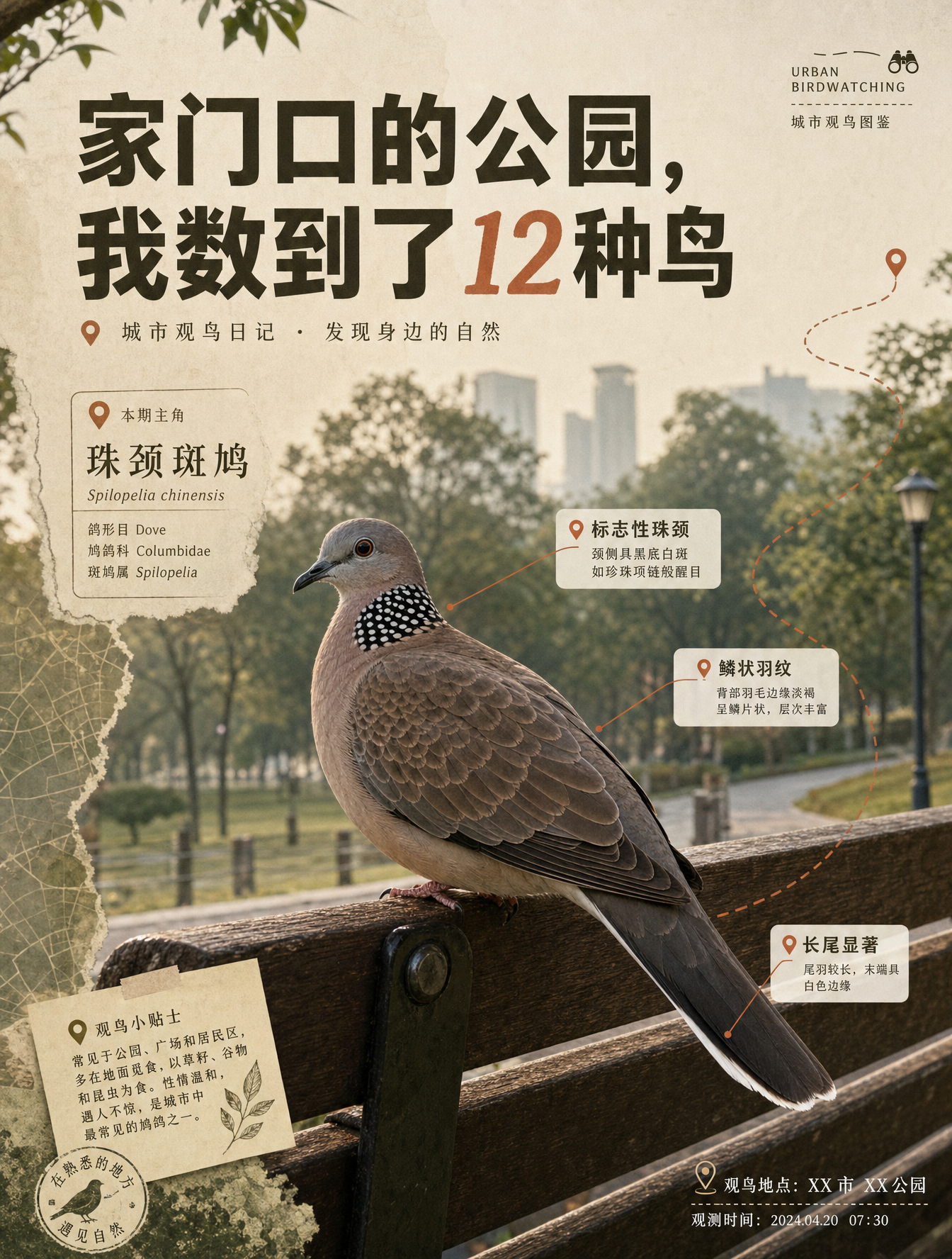Una impactante portada de Xiaohongshu