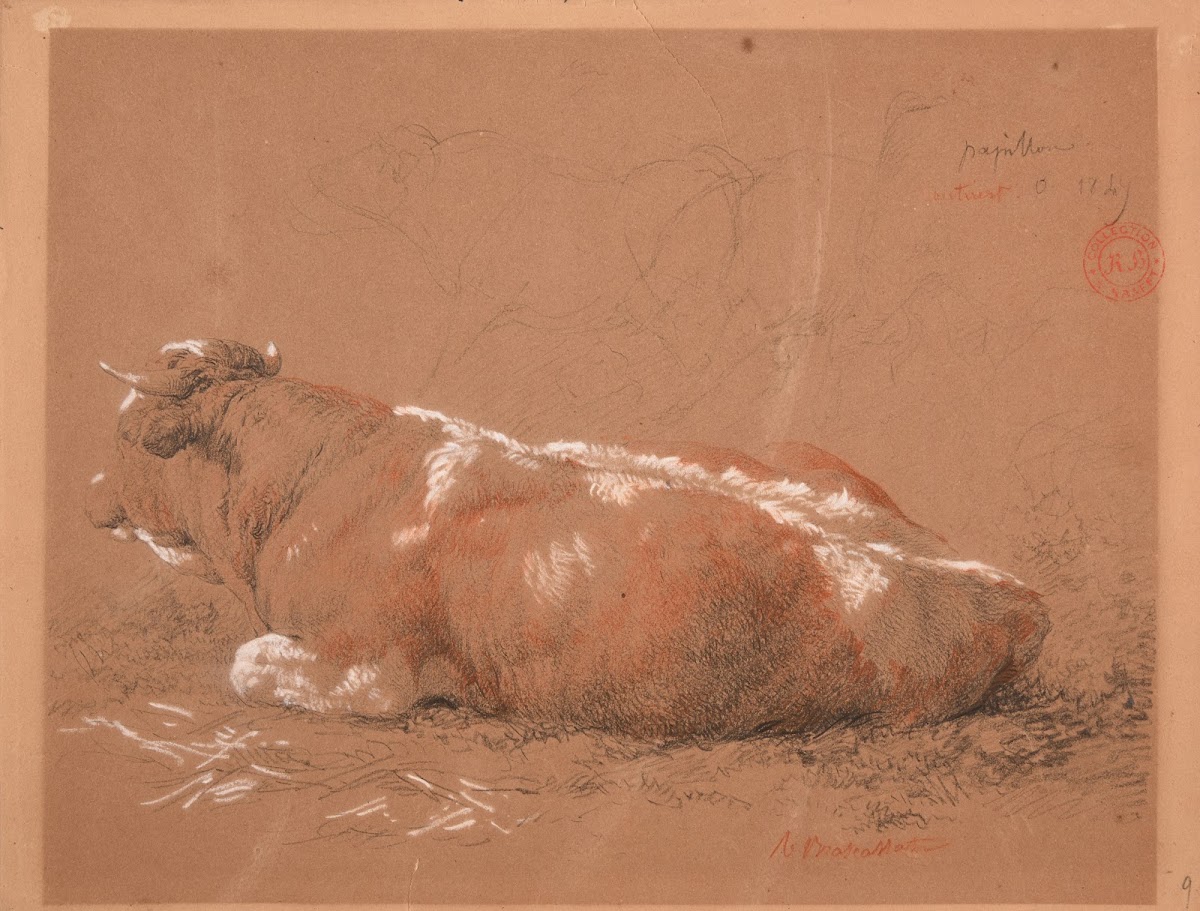 Étude de bœuf couché 1847
