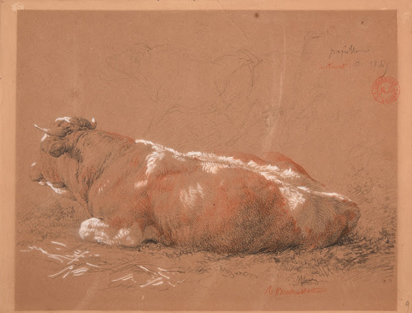 Étude de bœuf couché 1847