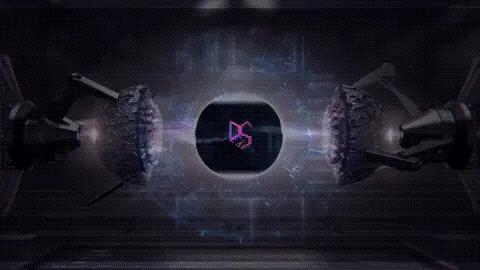 Captura de DropshippyLeaks