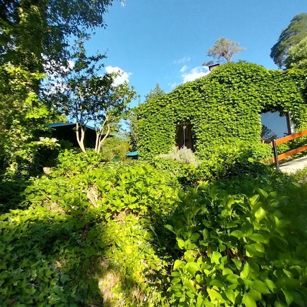 DEPURA: Purificación, nutrición y conexión Interior
