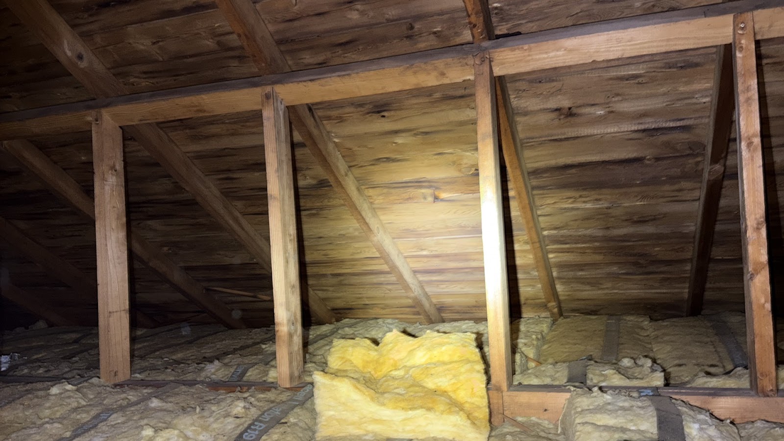 Copy of IMG_2026-03-13_14-12-48_499.jpg