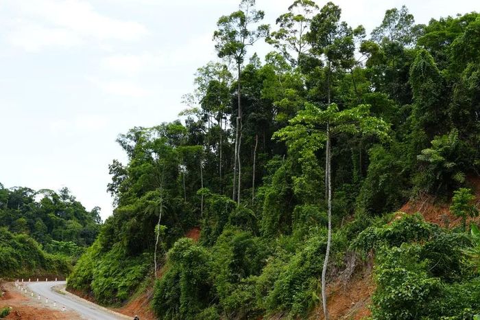 Sứ mệnh mới của đường quân giới 74 - Báo Sài Gòn Giải Phóng