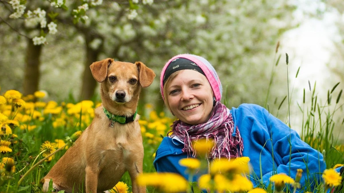 MS 코파일럿과 구글 Gemini 비교, 업무 효율성 차이는