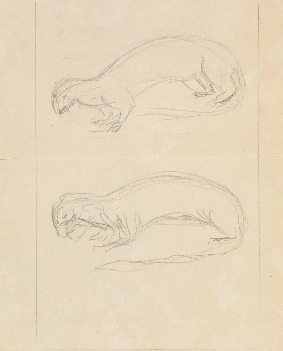 Two Weasels