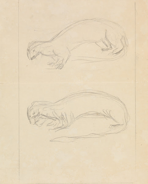 Two Weasels