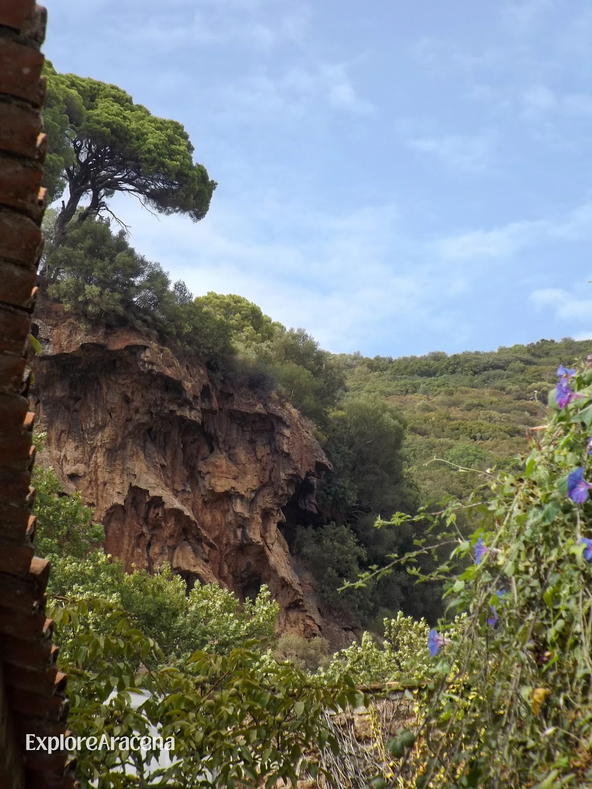Steep rocky cliffs covered with trees, flowers and dense greenery