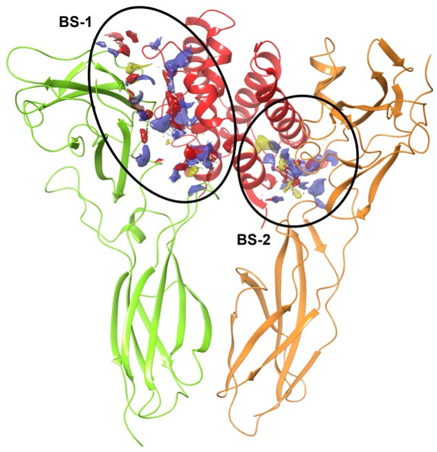 EVIDENCES OF INTERLEUKIN 20 RECEPTOR A BLOCKADE BY RITONAVIRIN TRIPLE NEGATIVE BREAST CANCER CELLS