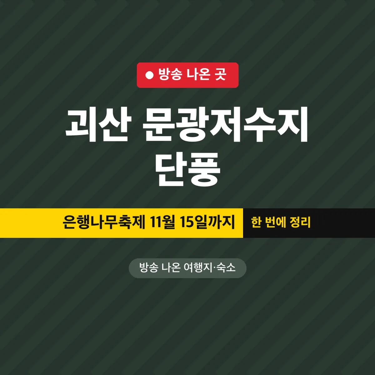 괴산 문광저수지 단풍, 은행나무축제 11월 15일까지