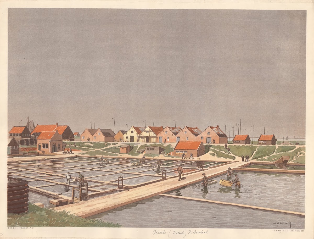 Oyster Farm Yerseke 1901