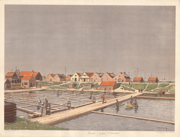 Oyster Farm Yerseke 1901
