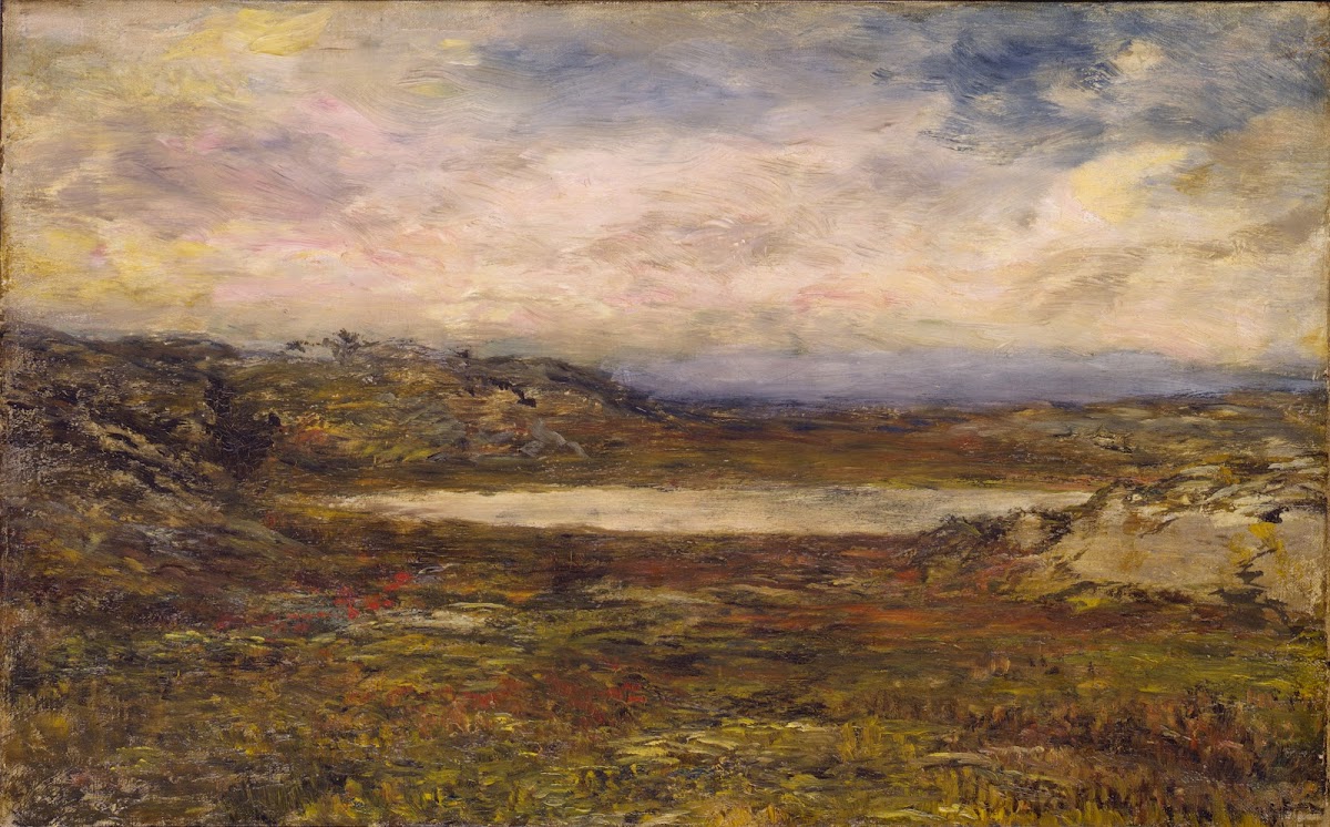 Wild Coast Newport ca 1885 1895