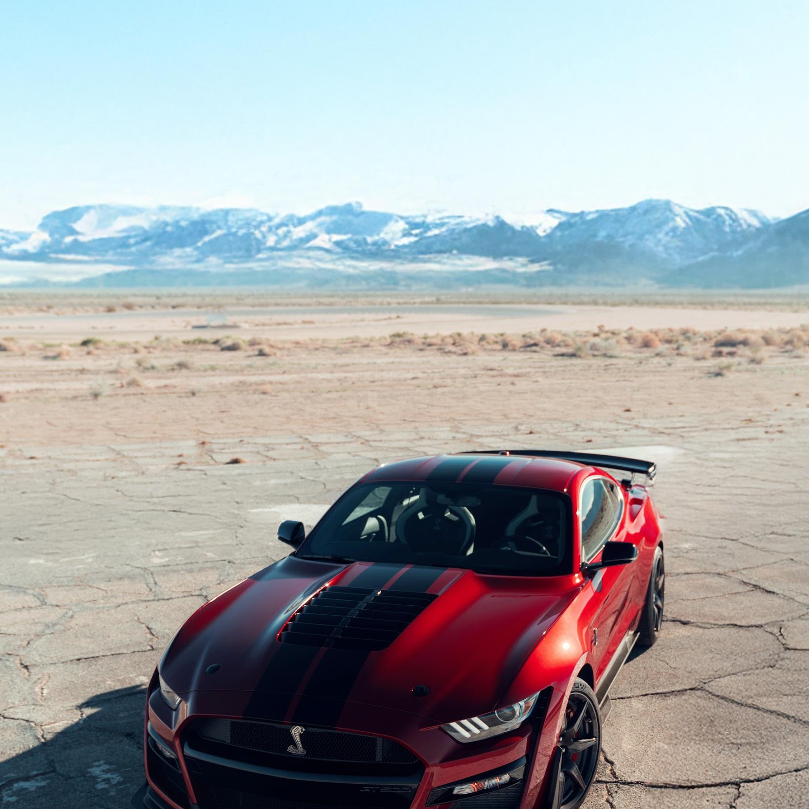 Download Ford Mustang Shelby GT500 2K iPhone