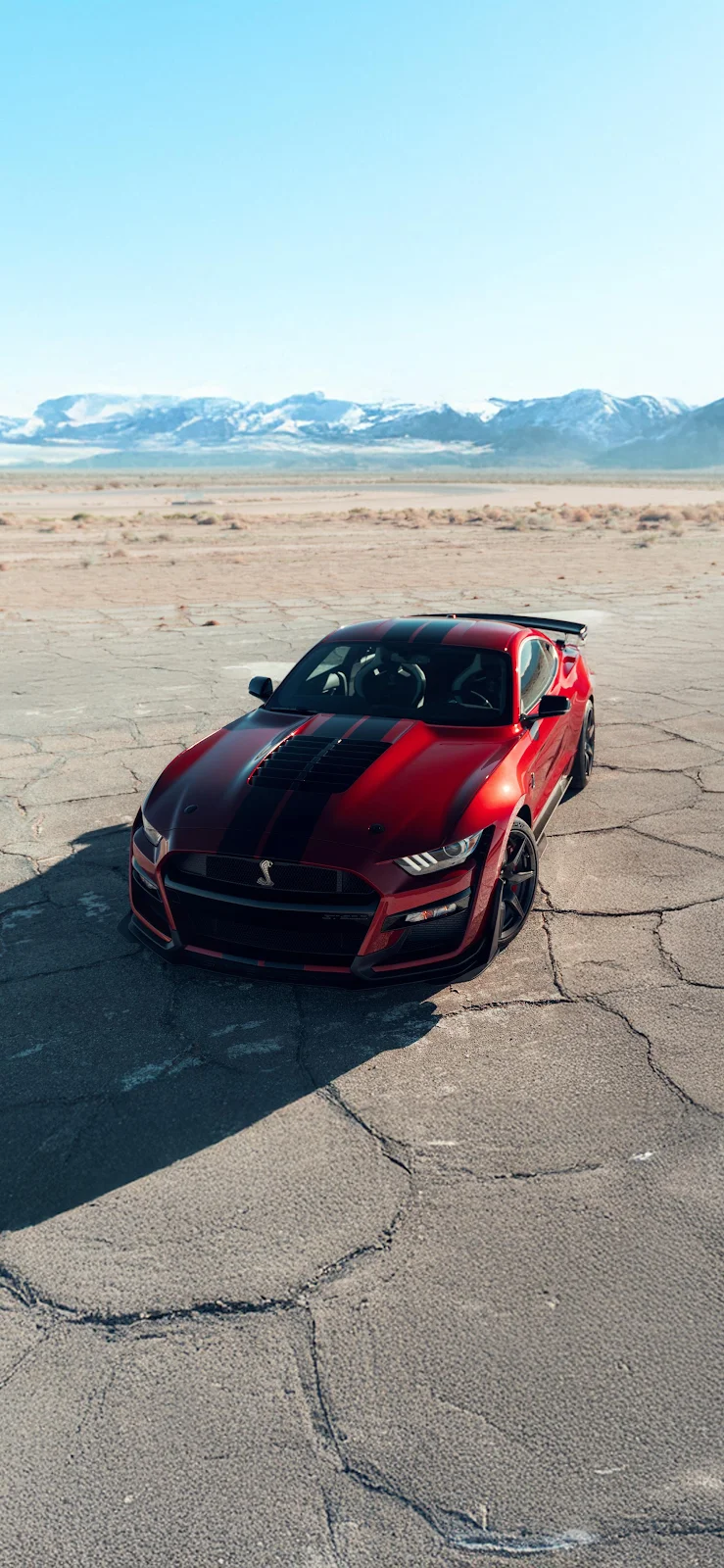 Ford Mustang Shelby GT500 - Automotive Photography 2K iPhone Wallpaper (1772x3839)