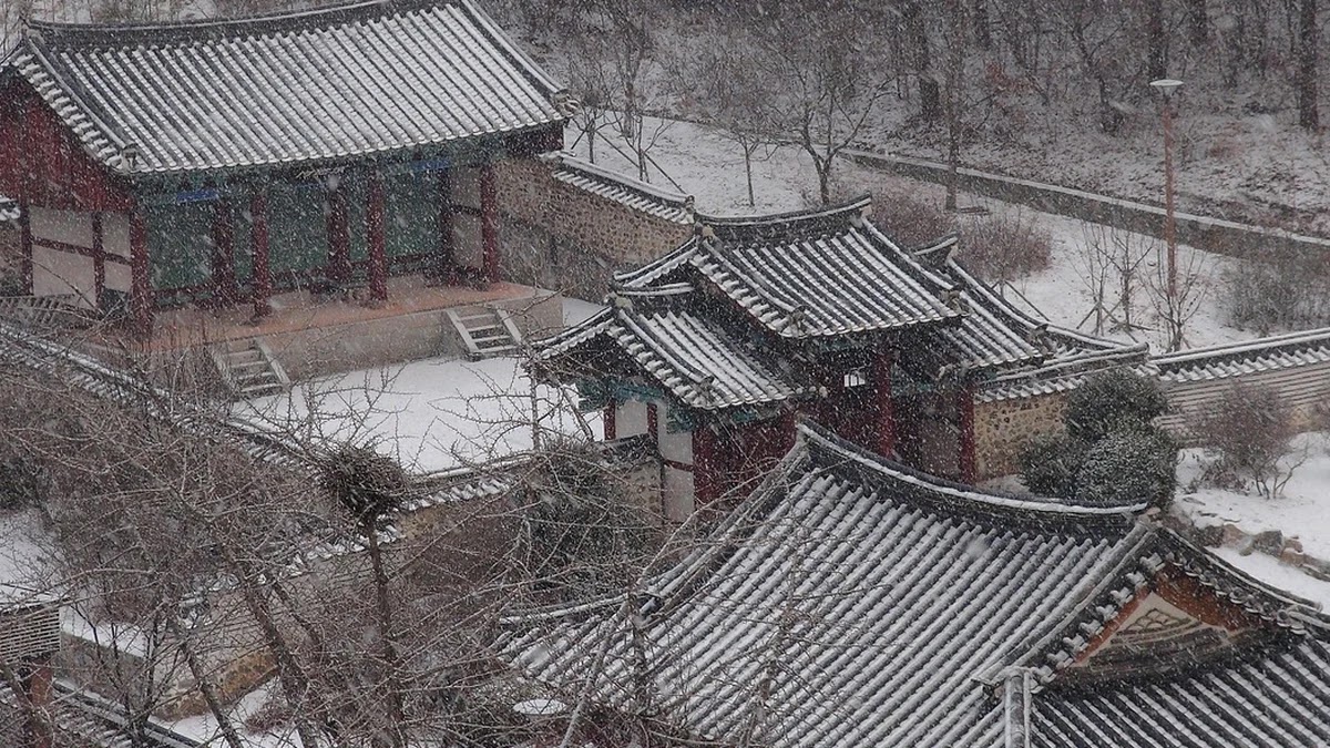 조선 후기 삼정문란이 사회 변화에 미친 영향 연대기
