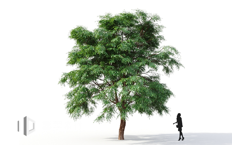 Maxtree - Plant Models Vol.9