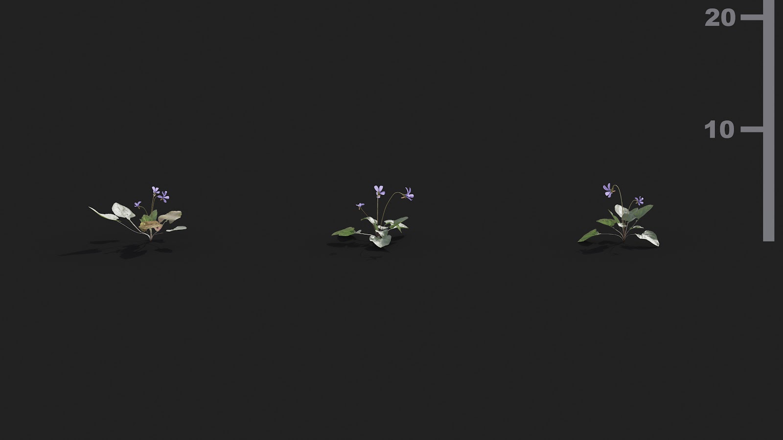 Maxtree - Plant Models Vol.21