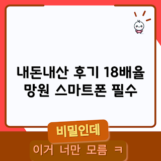 로얄뷰 스마트폰 렌즈, 망원 렌즈 후기, 18배율 망원 렌즈, 스마트폰 액세서리, 내돈내산 리뷰