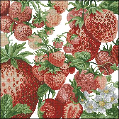 CMP 330077 Lovely Strawberries