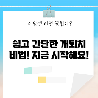 개퇴치기 방법, 어떻게 개를 퇴치하나, 개퇴치기 효과, 왜 개들이 귀찮은가, 개 퇴치 팁