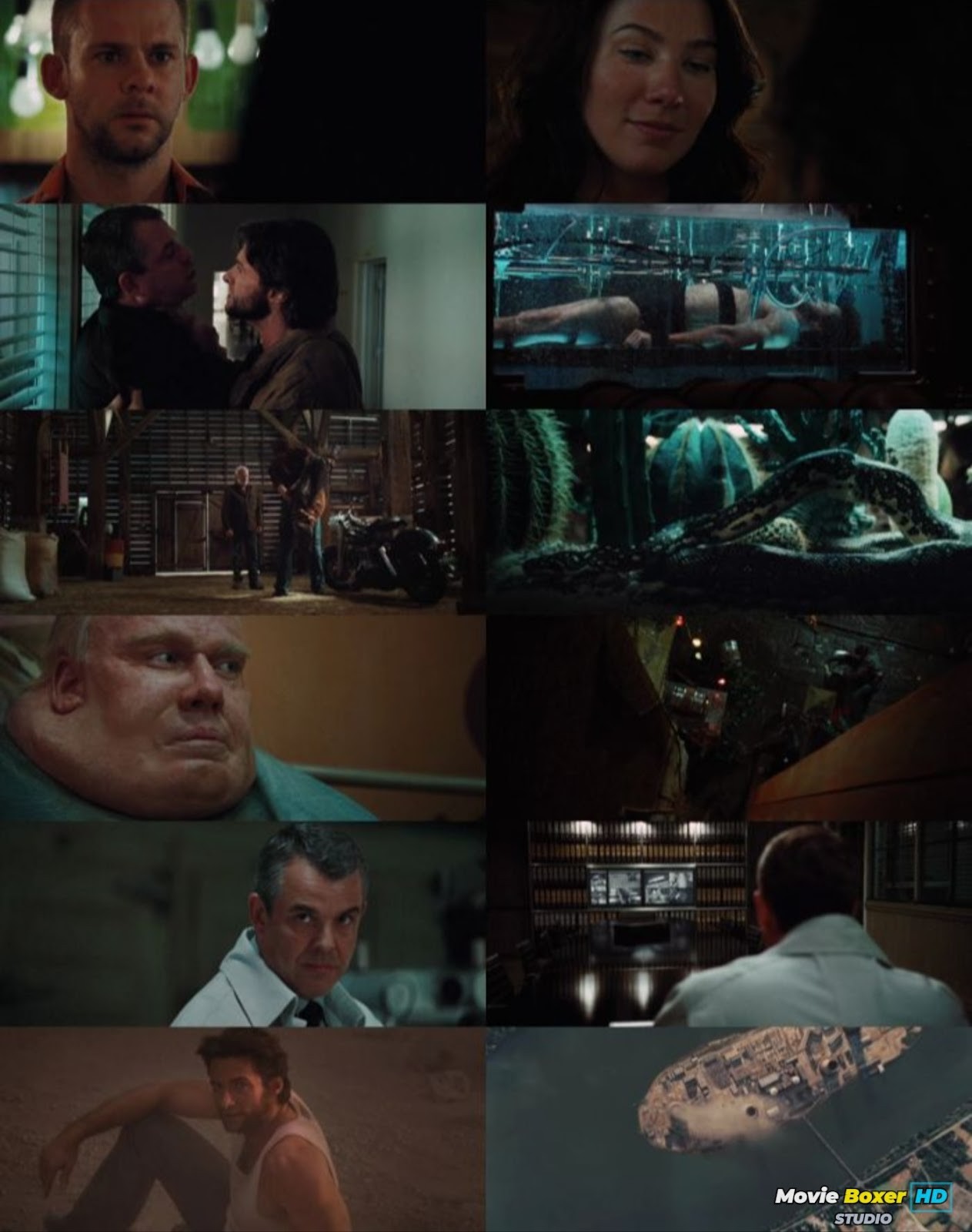 Screenshots Grid