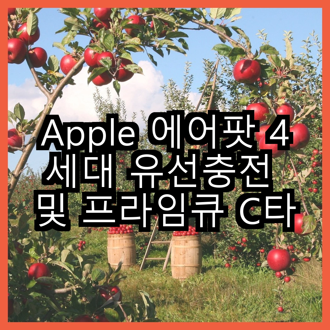 Apple 에어팟 4세대 유선충전 및 프라임큐 C타입 오픈형 유선 이어폰, 어떤 선택 썸네일