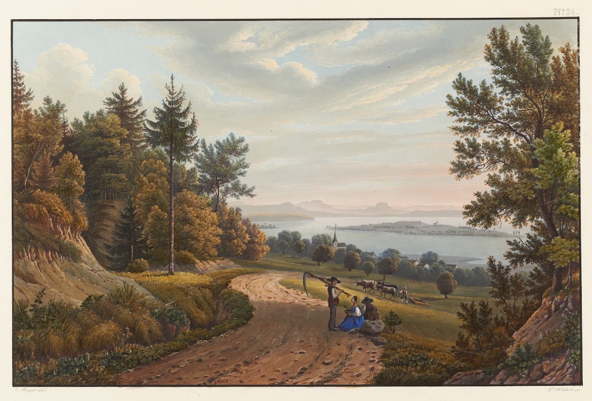 Vue de lJsle de Reichenau dans le lac de Constance