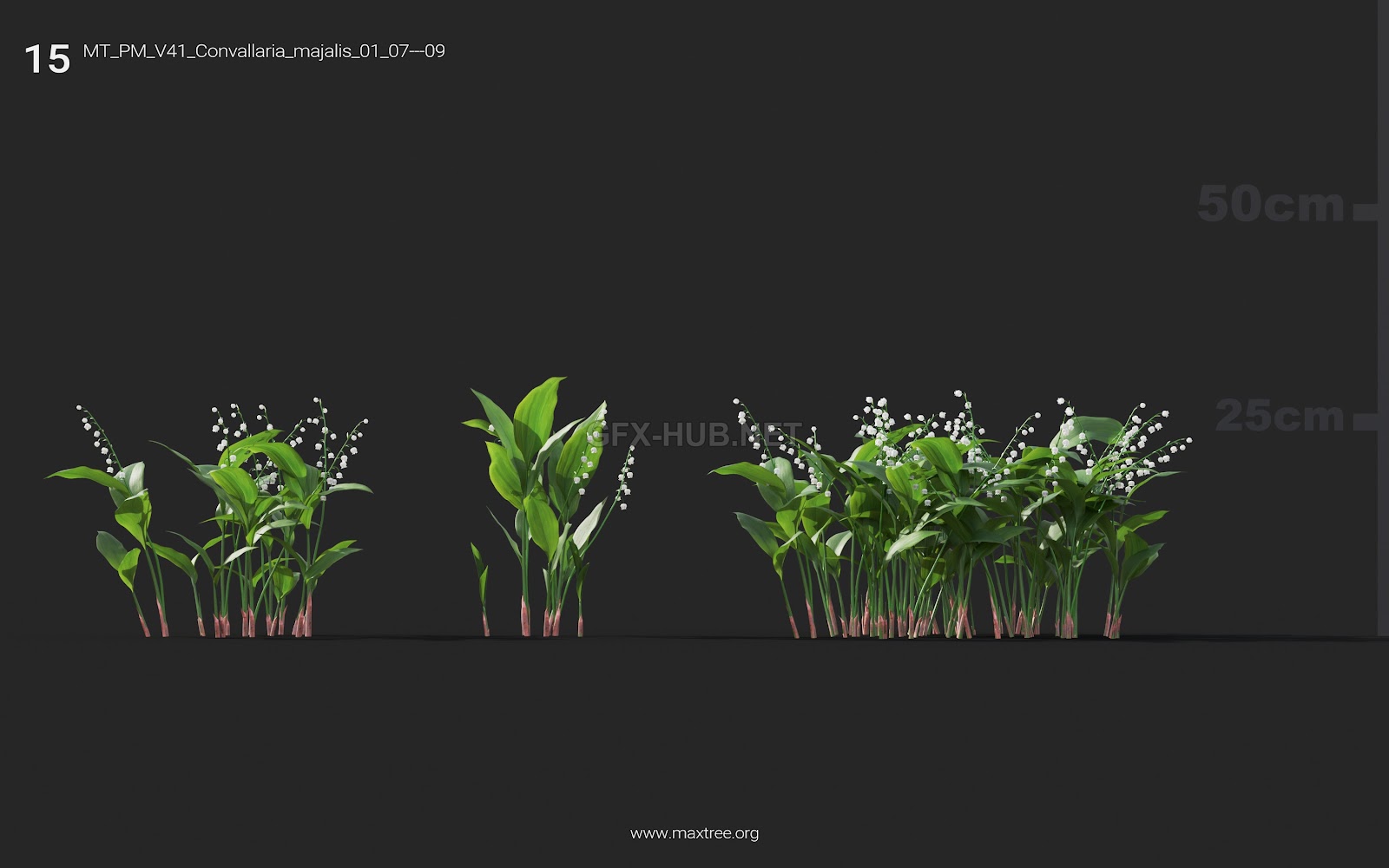 Maxtree - Plant Models Vol.41