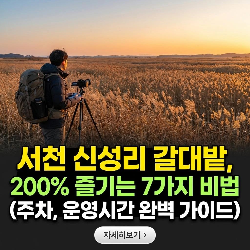 서천 신성리 갈대밭, 인생샷 핫플 완벽 공략 가이드