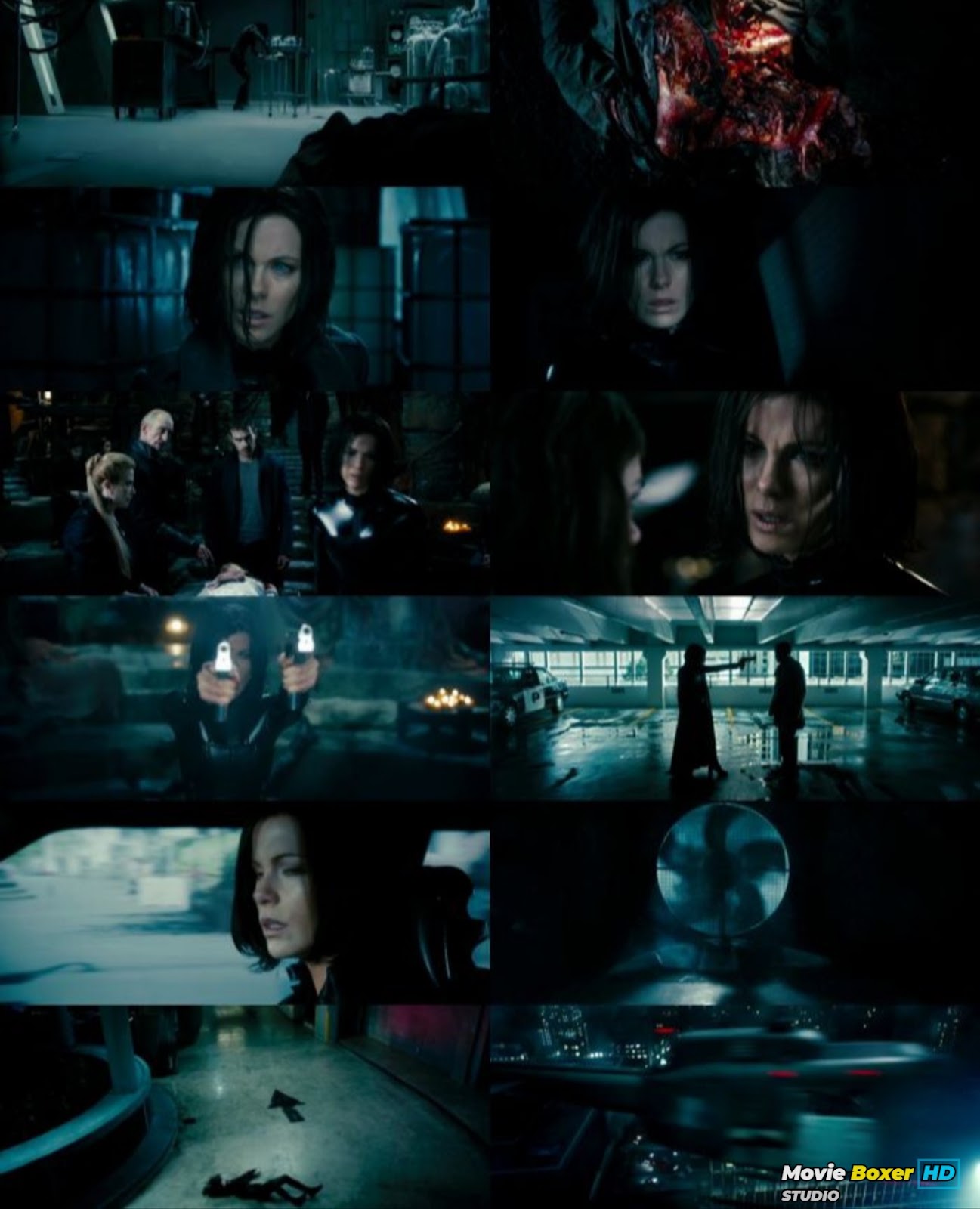 Screenshots Grid