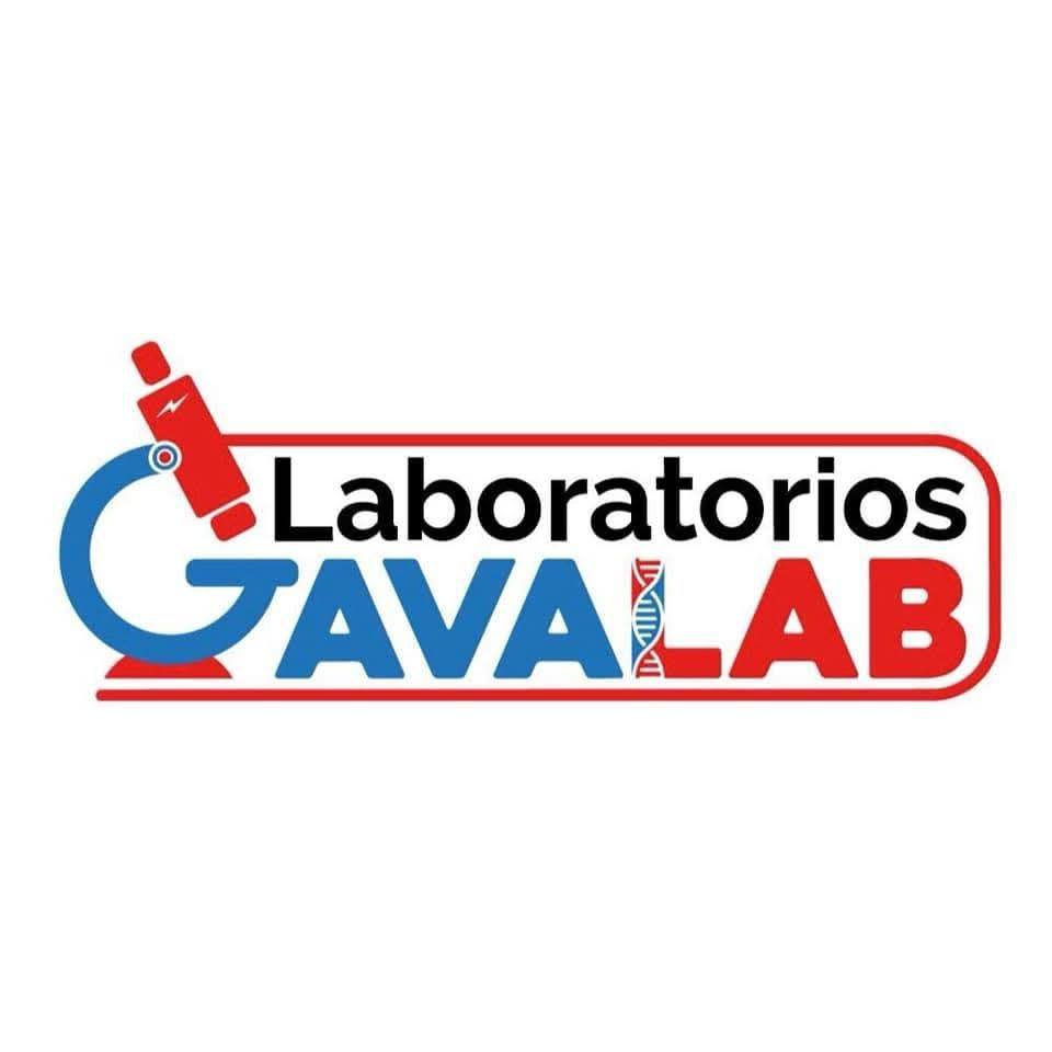 GavaLab - portada