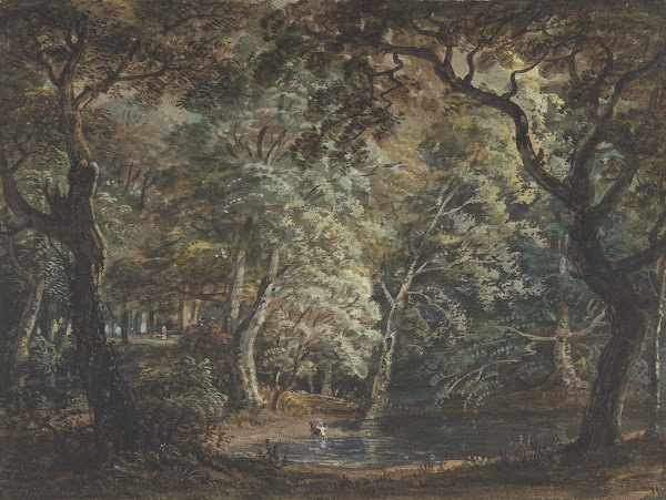 Windsor Great Park 179099