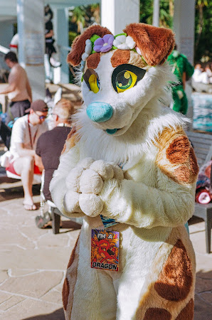furdu-8 (1).jpg