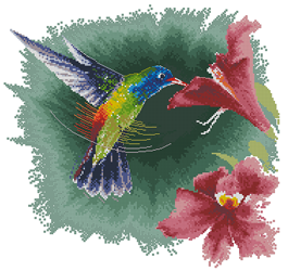 CMP FFHF539 Hummingbird In Flight