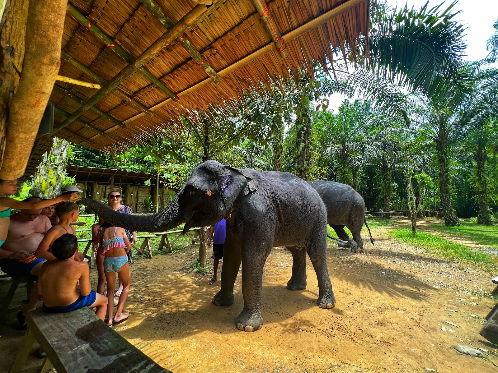 KHAOLAK SAFARI (1-DAY TRIP) 6