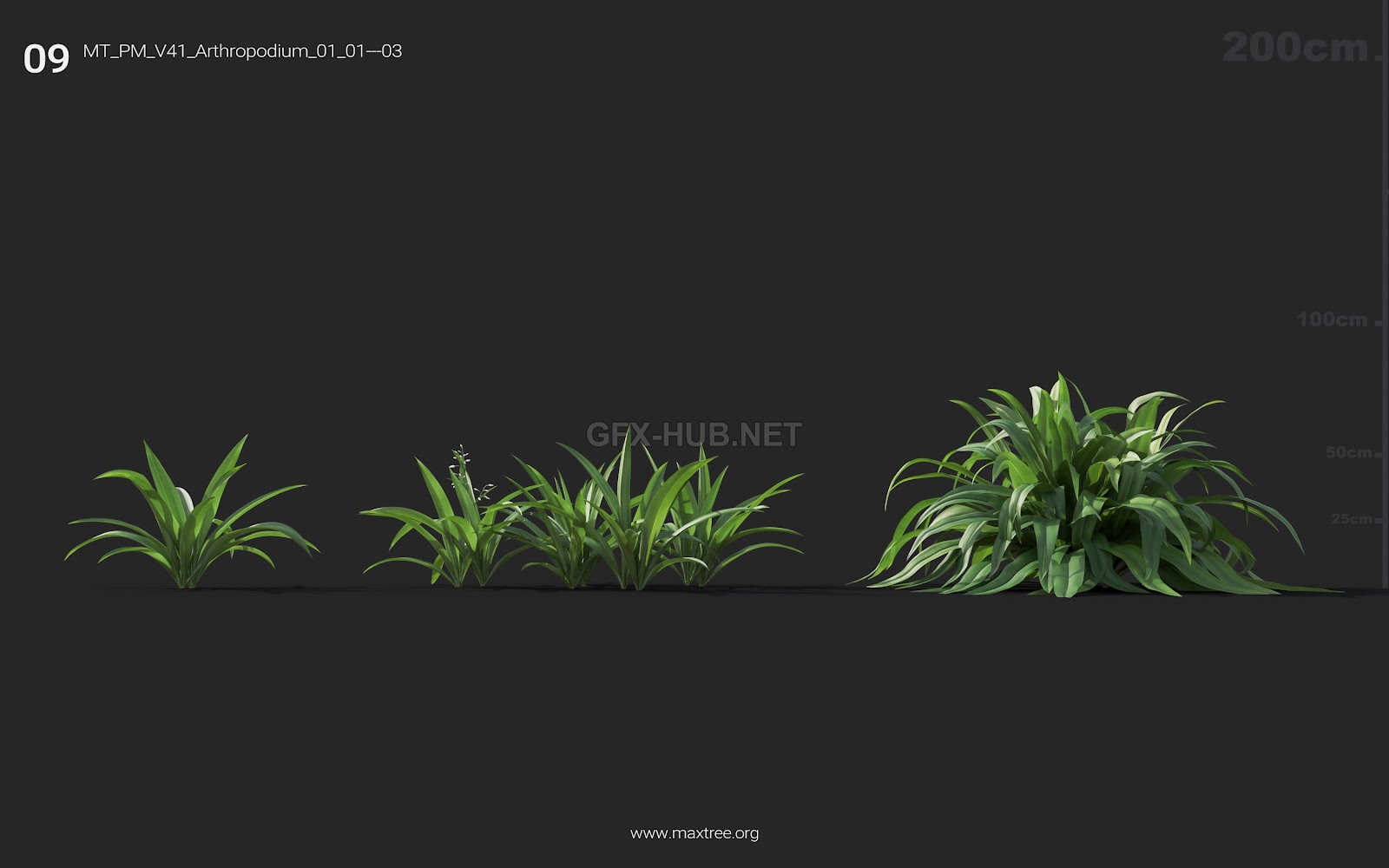 Maxtree - Plant Models Vol.41