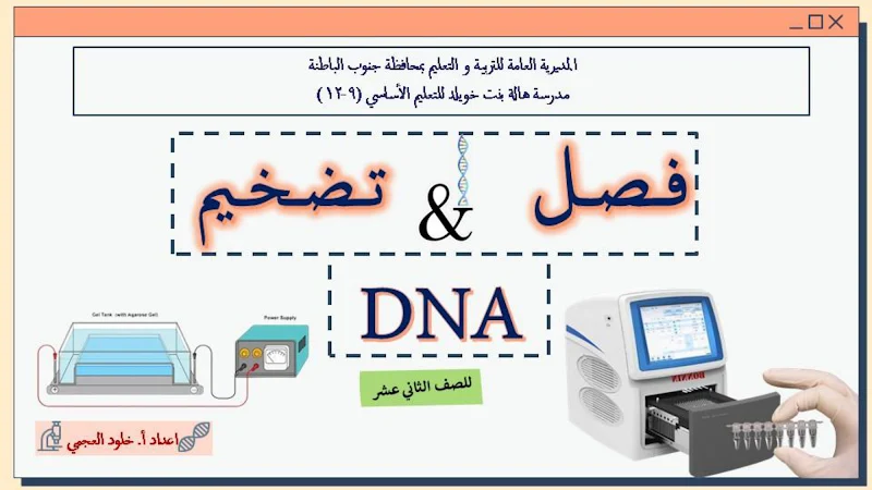 صورة الغلاف