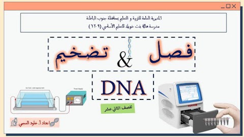 ملخص درس فصل وتضخيم DNA - أحياء الصف 12 الفصل 1