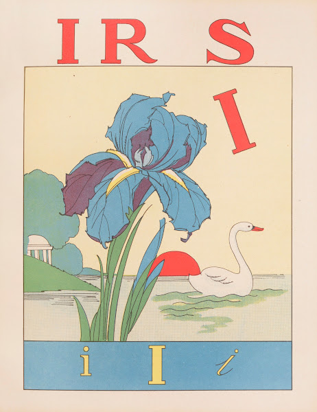 Iris 1935 1936