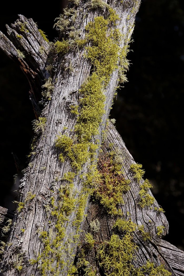 웹툰 로맨스 장르별 서사 구조와 캐릭터 유형 비교
